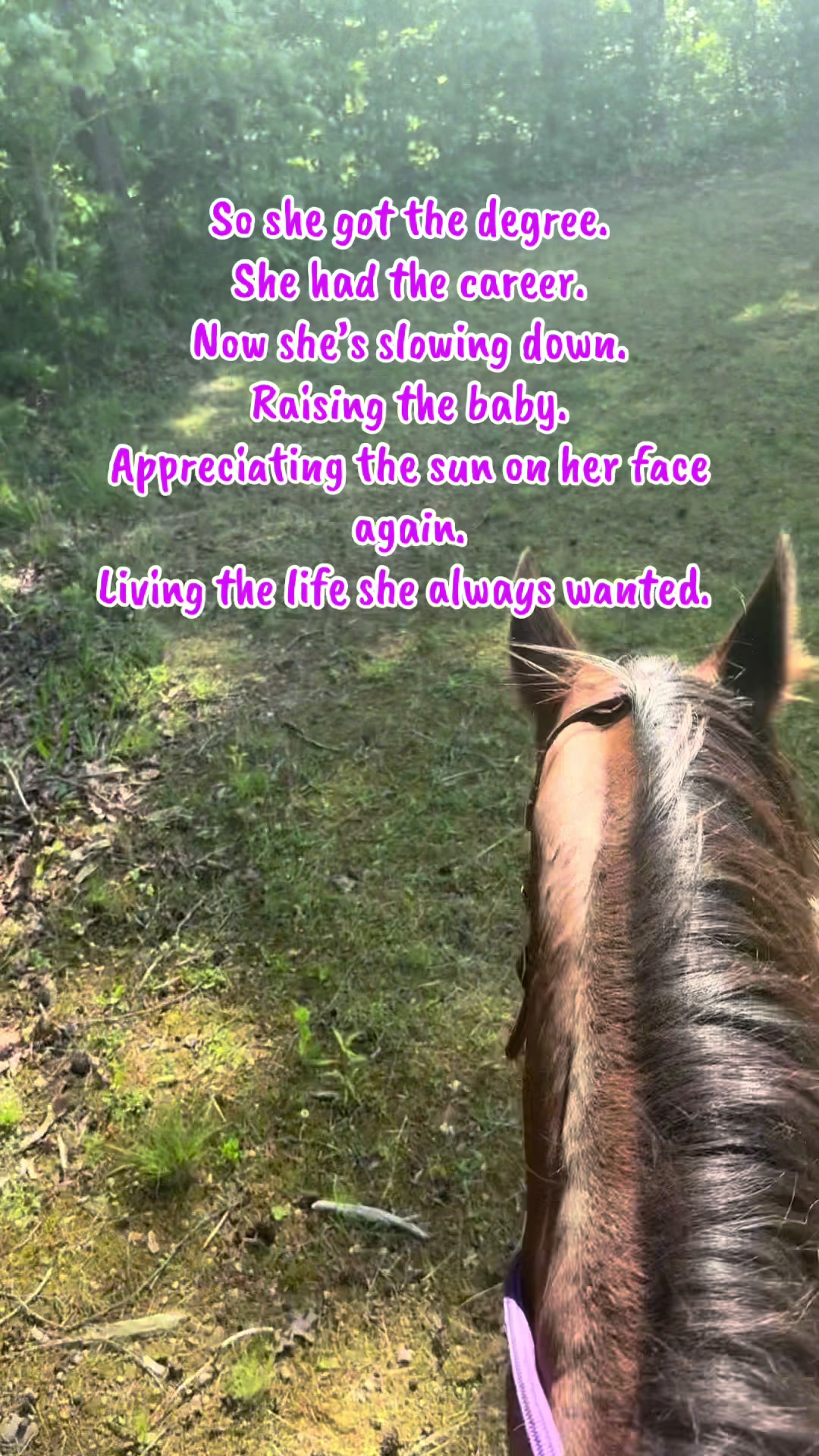 @EightyDollarStables