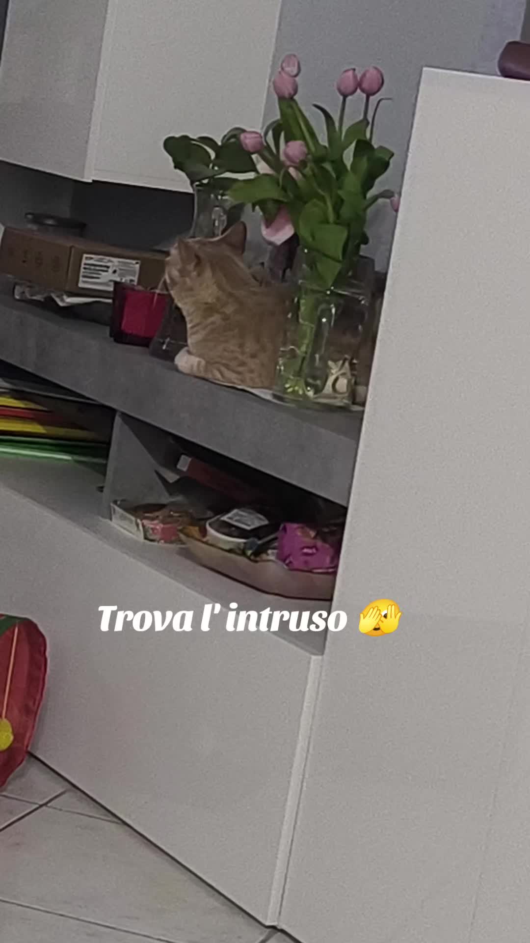 @Pina