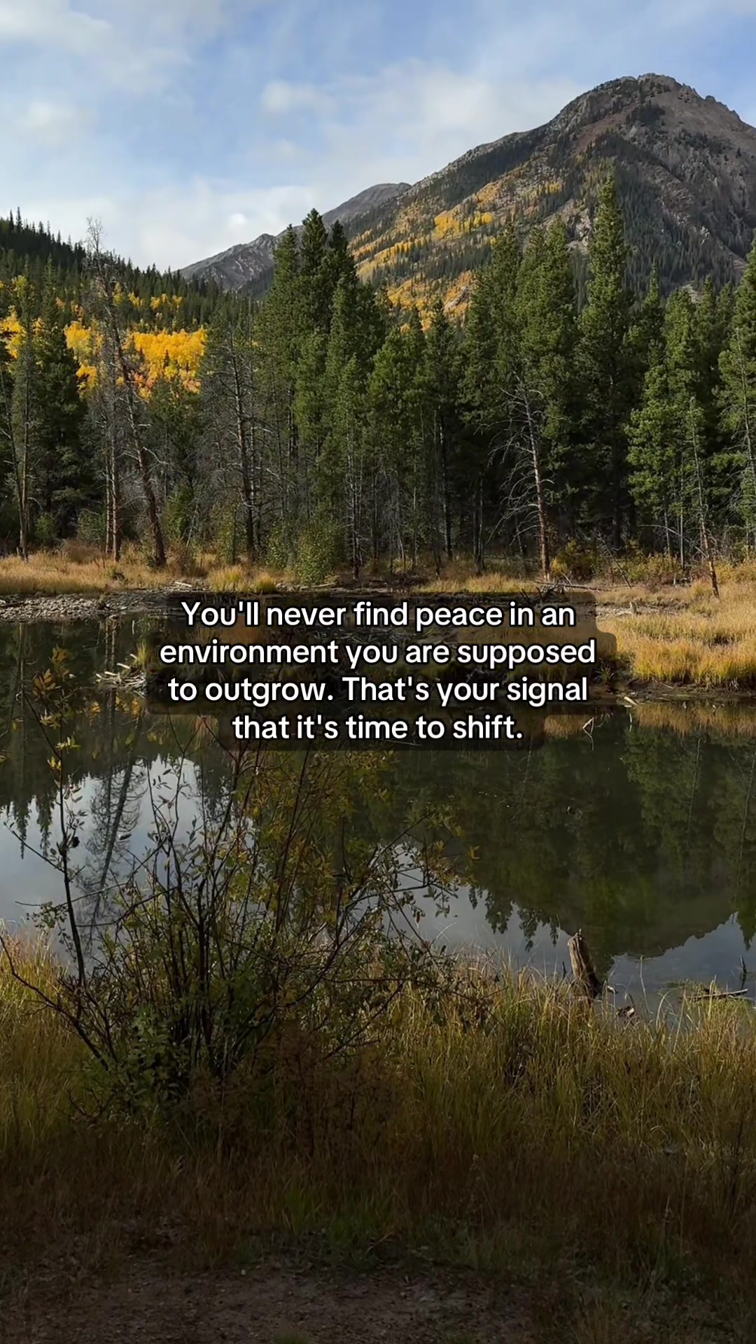 @HolisticHealingThoughts