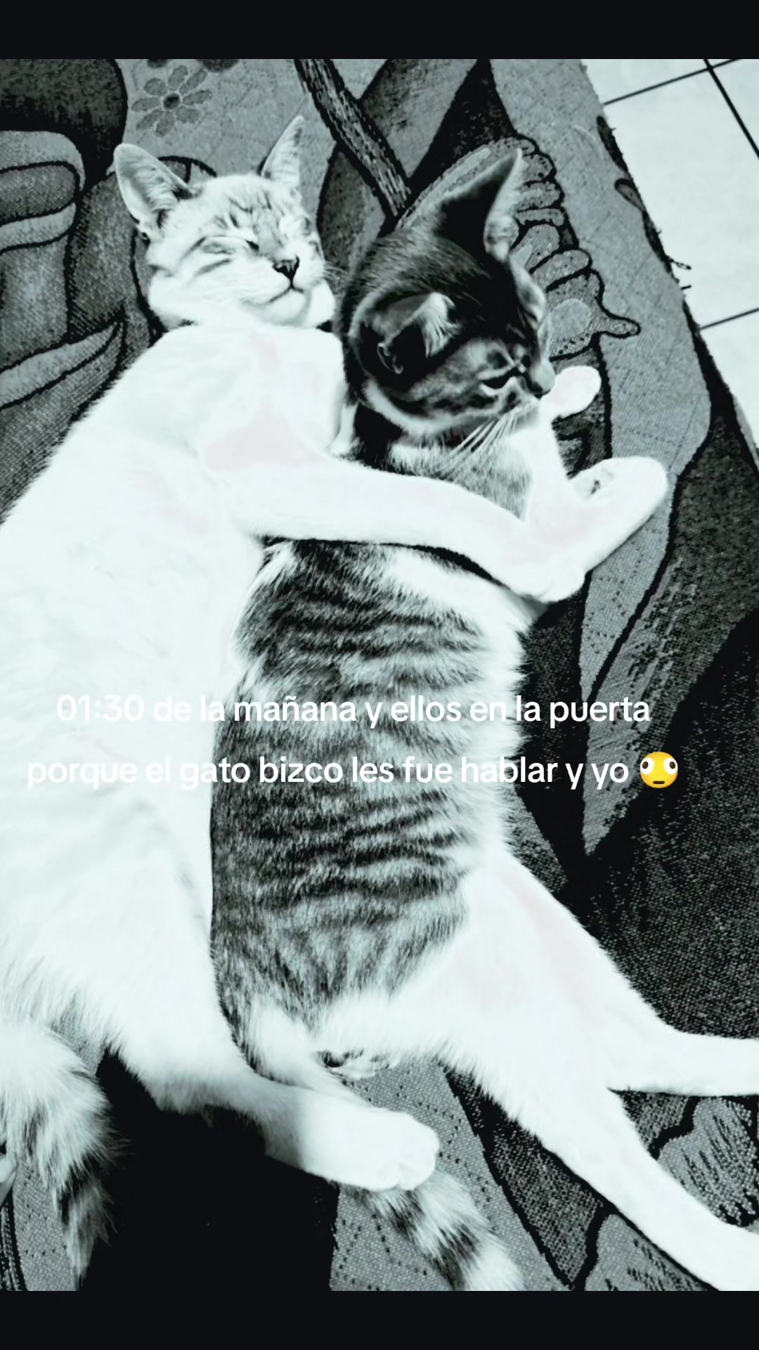 @𝐵𝑙𝑎𝑛𝑞𝑢𝑖𝑡𝑎🌷🩷