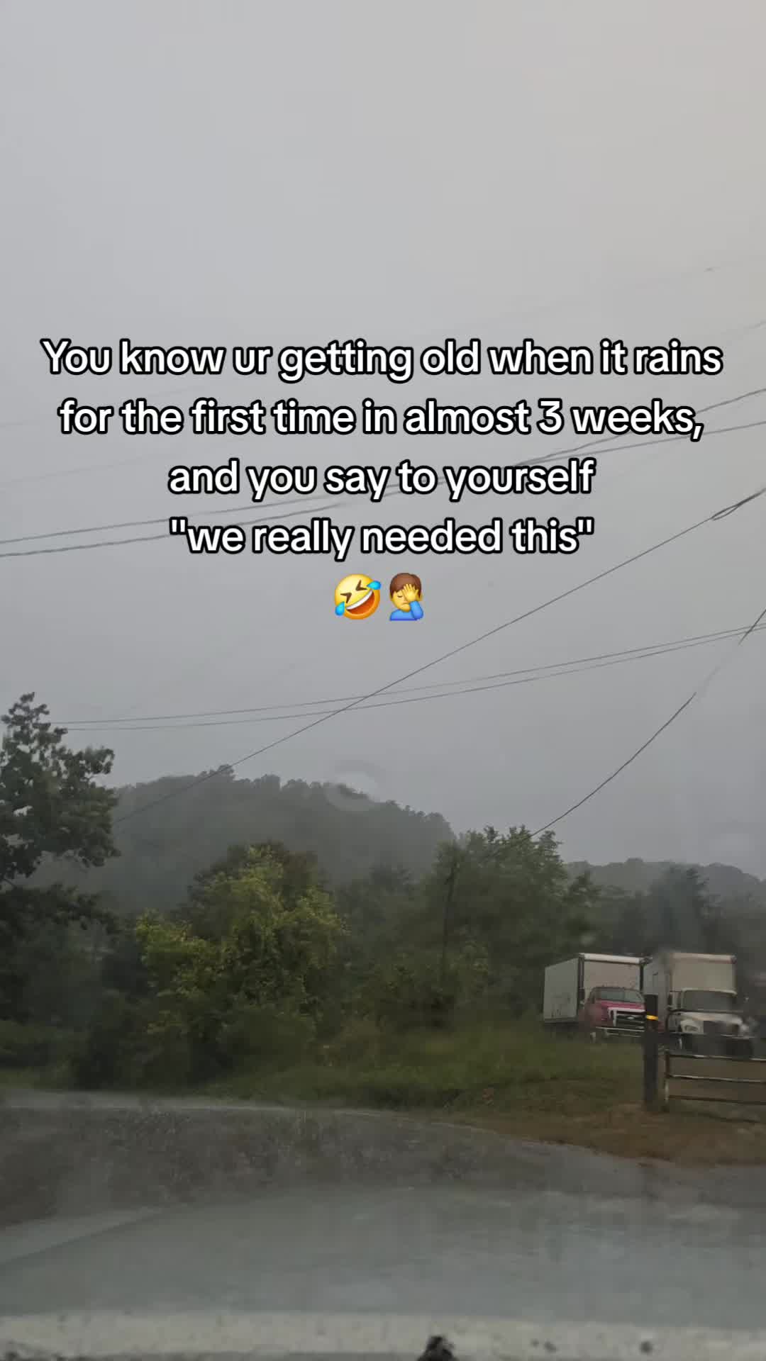 @BeeJaysBeforeBreakfast