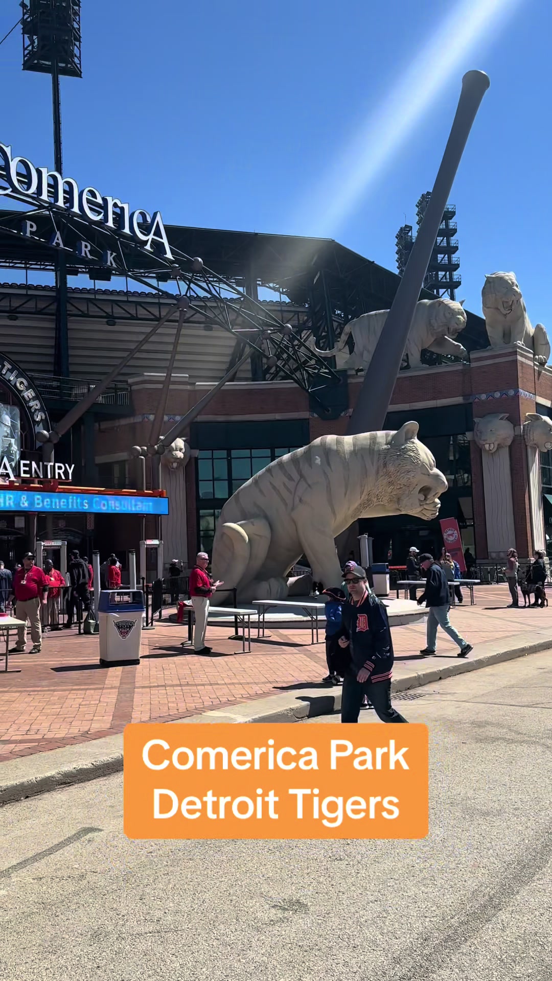 @Ballpark Ace