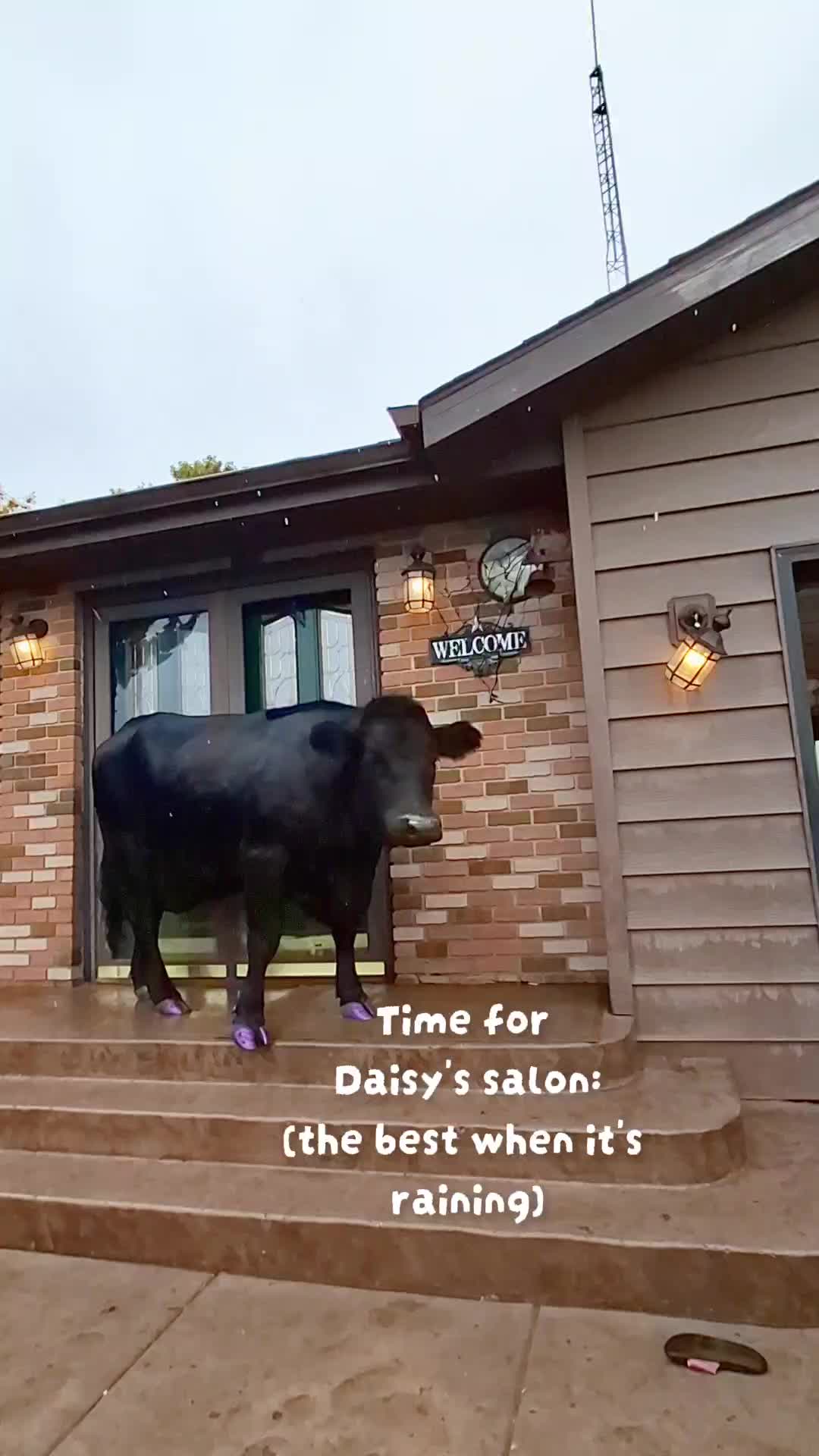 @Dakotafunnyfarm