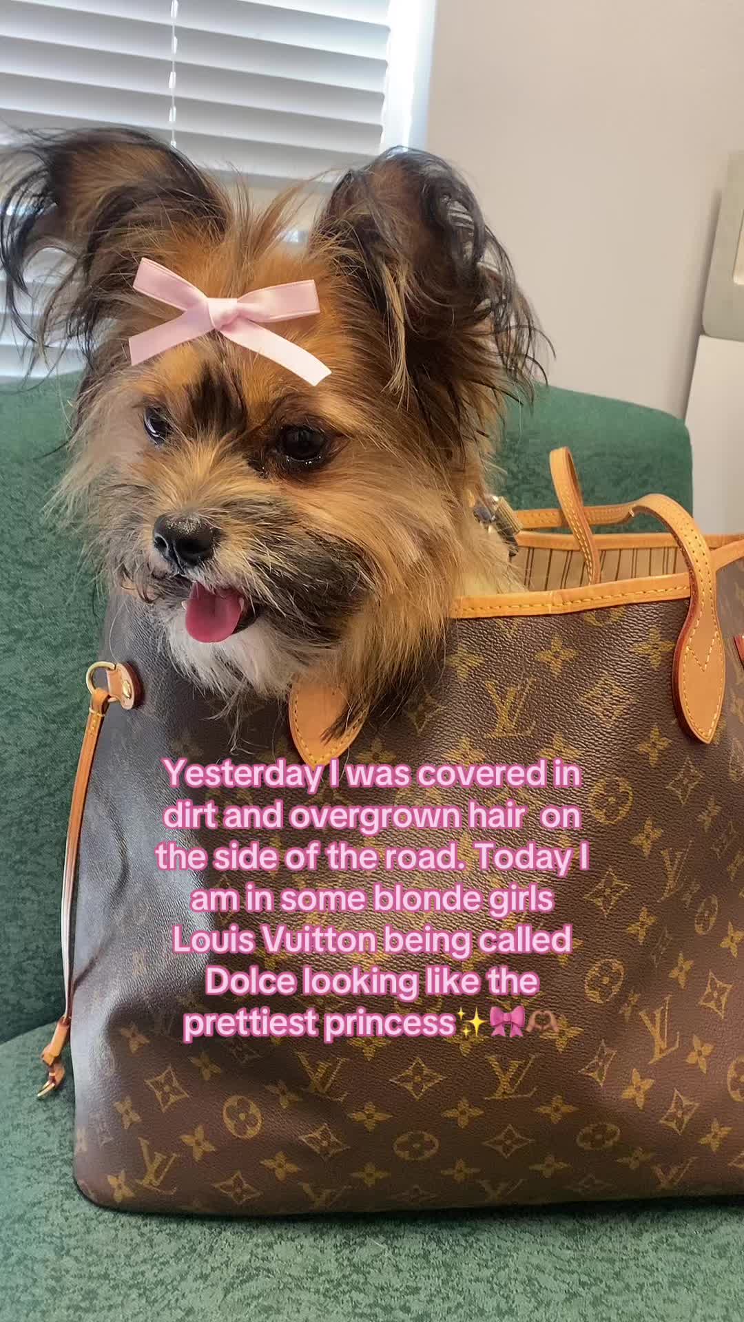 @emilysciannaaa