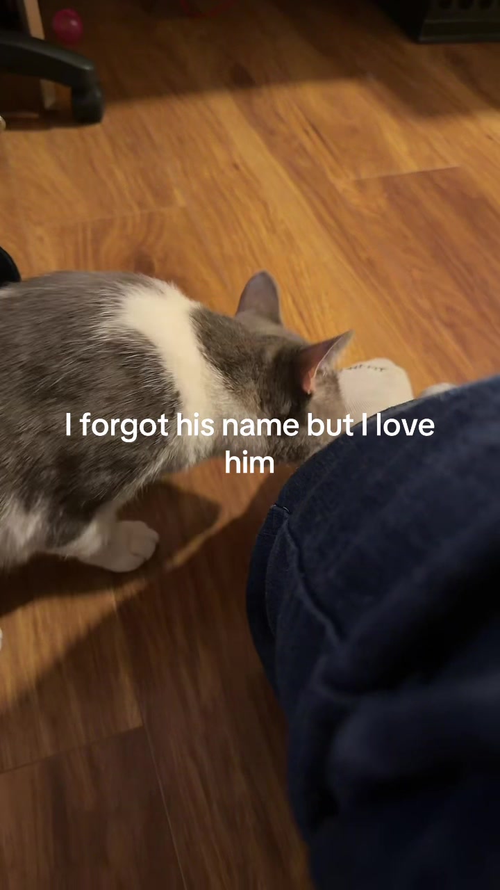 @r3algrl