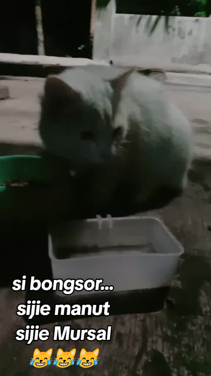 @KOBOY_kucay🤠