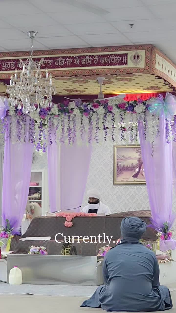 @D.G