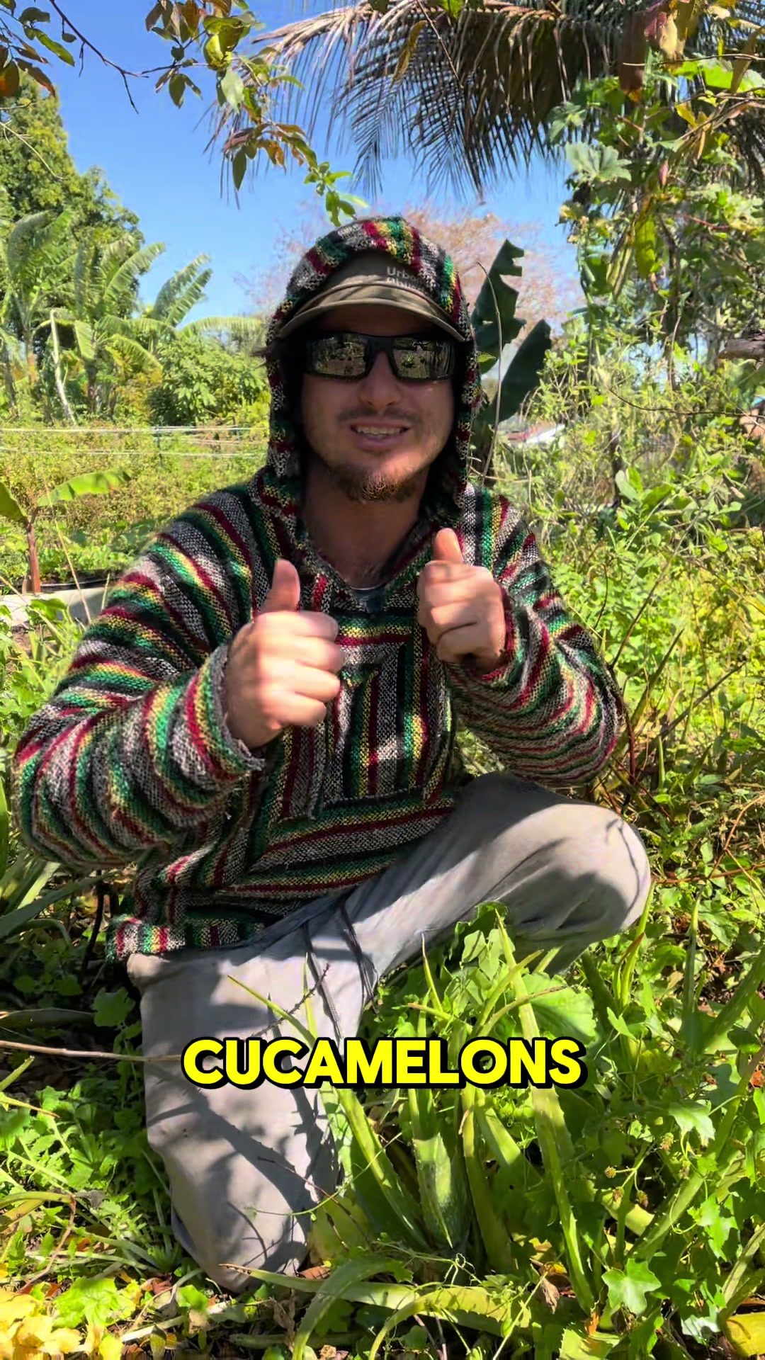 @will.harvest