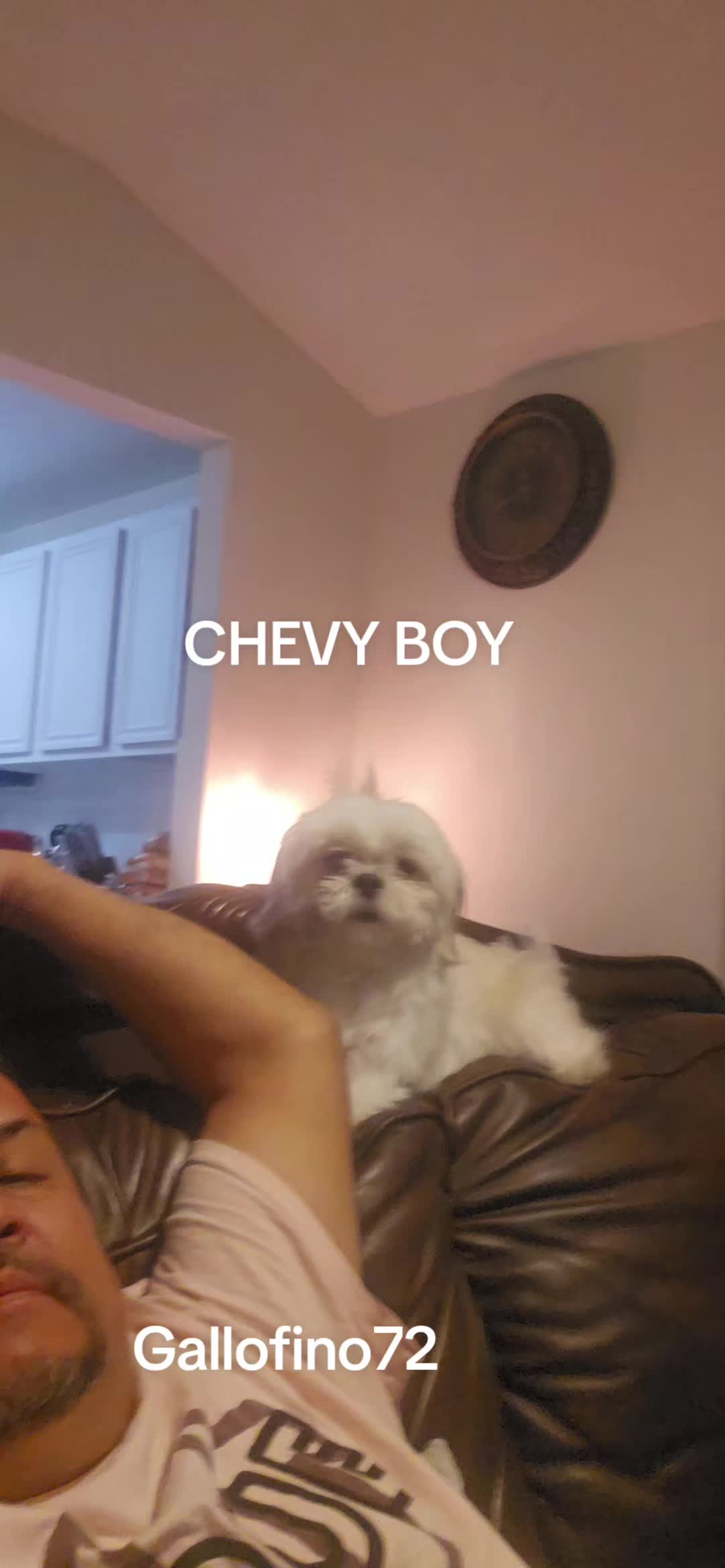 @ElGalloFino