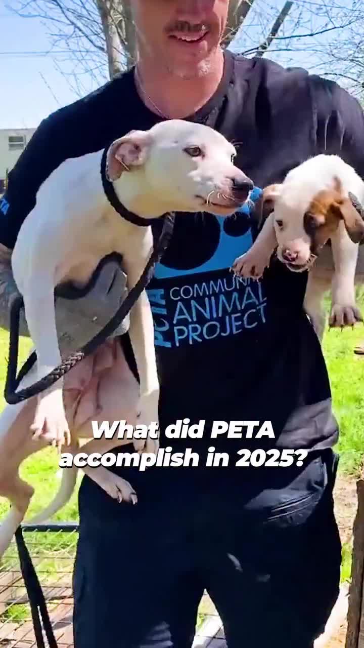@Watts Vegan Living