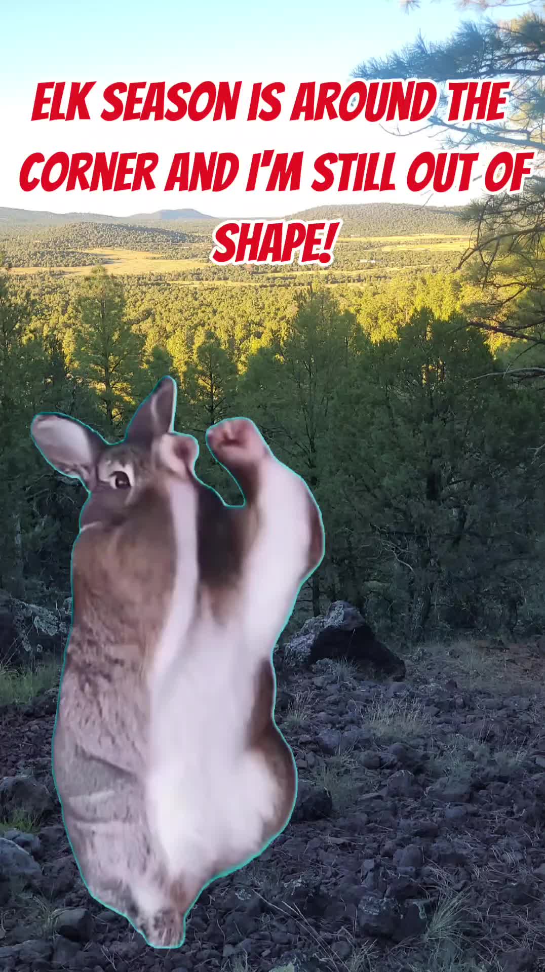 @CopperStateGameCalls
