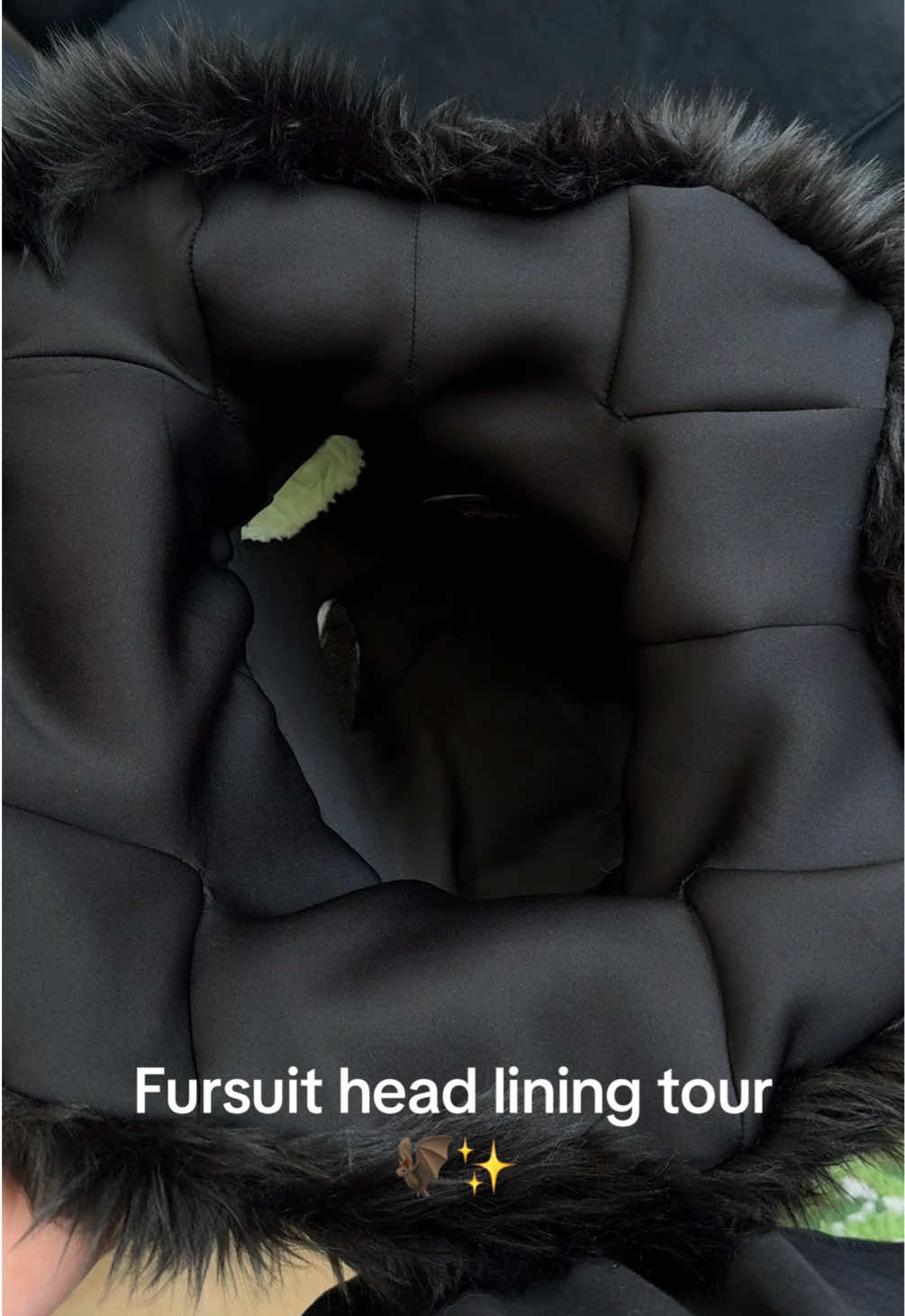 @FruitbatFursuits > ANW
