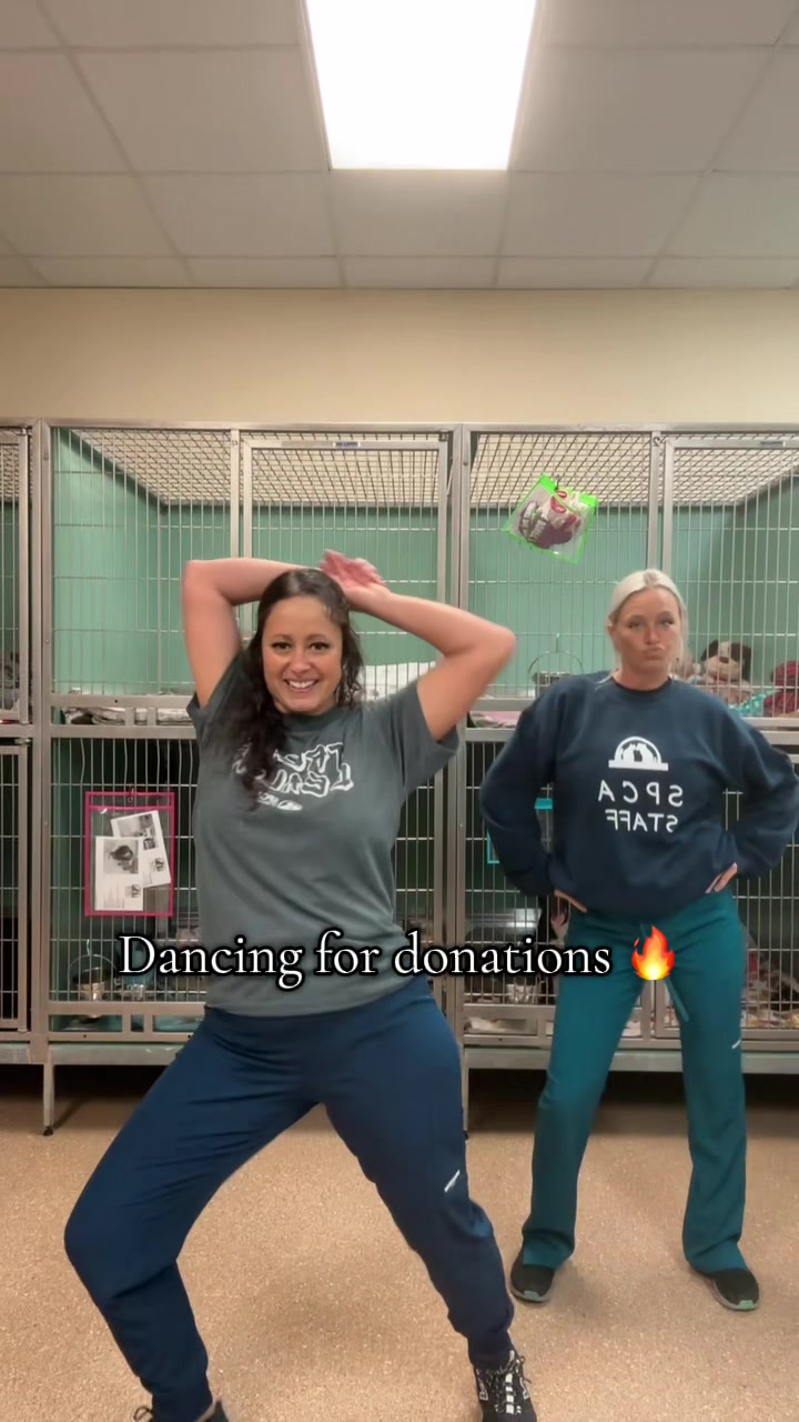 @2vettechs