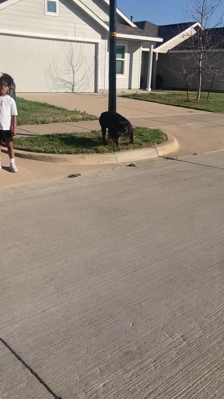 @HardBody K9 Training