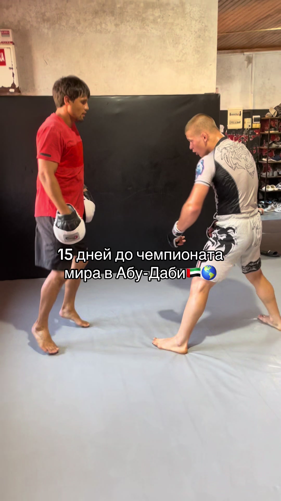 @zubarev_mma1
