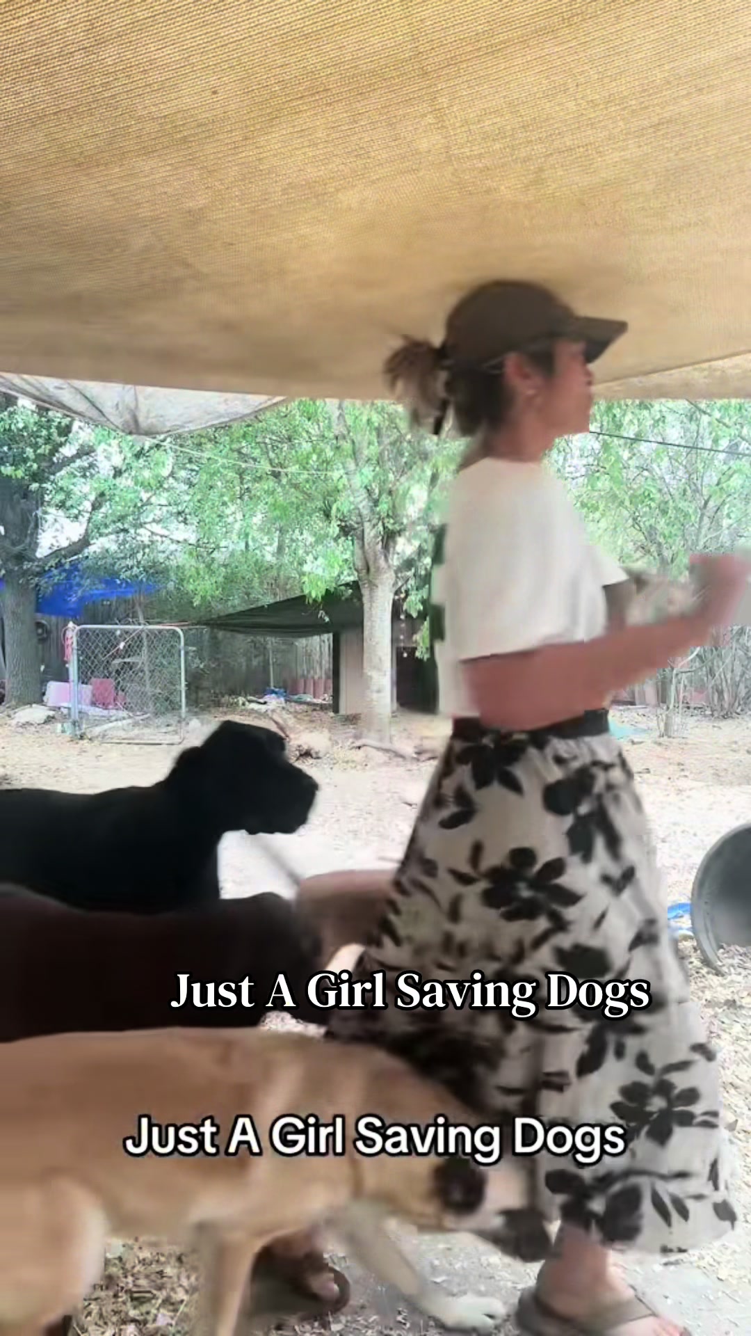 @Just A Girl Saving Dogs