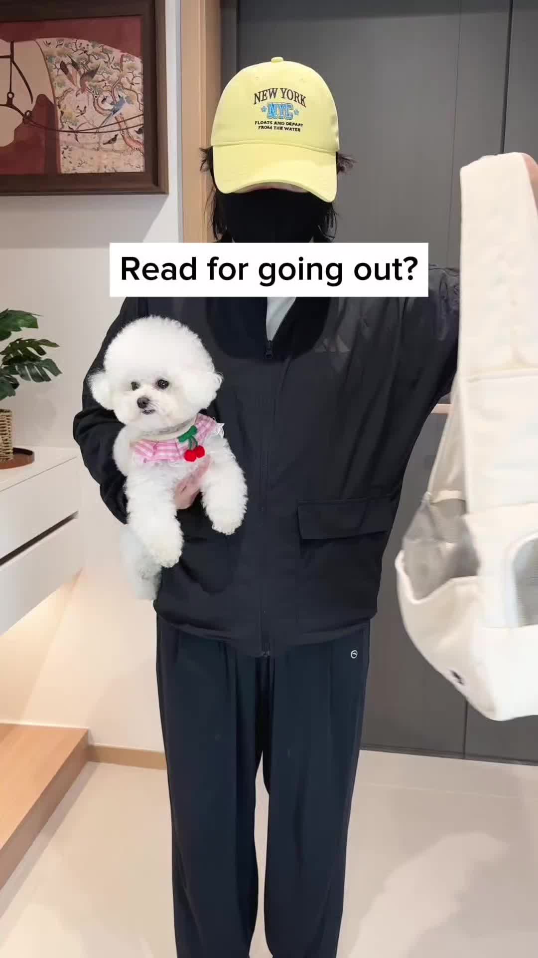 @Pet products