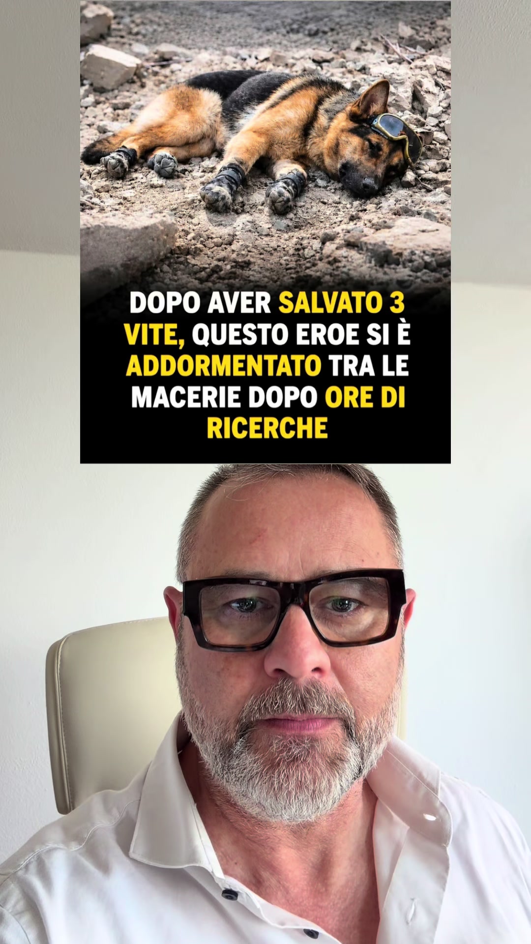 @Antonio Dimichele