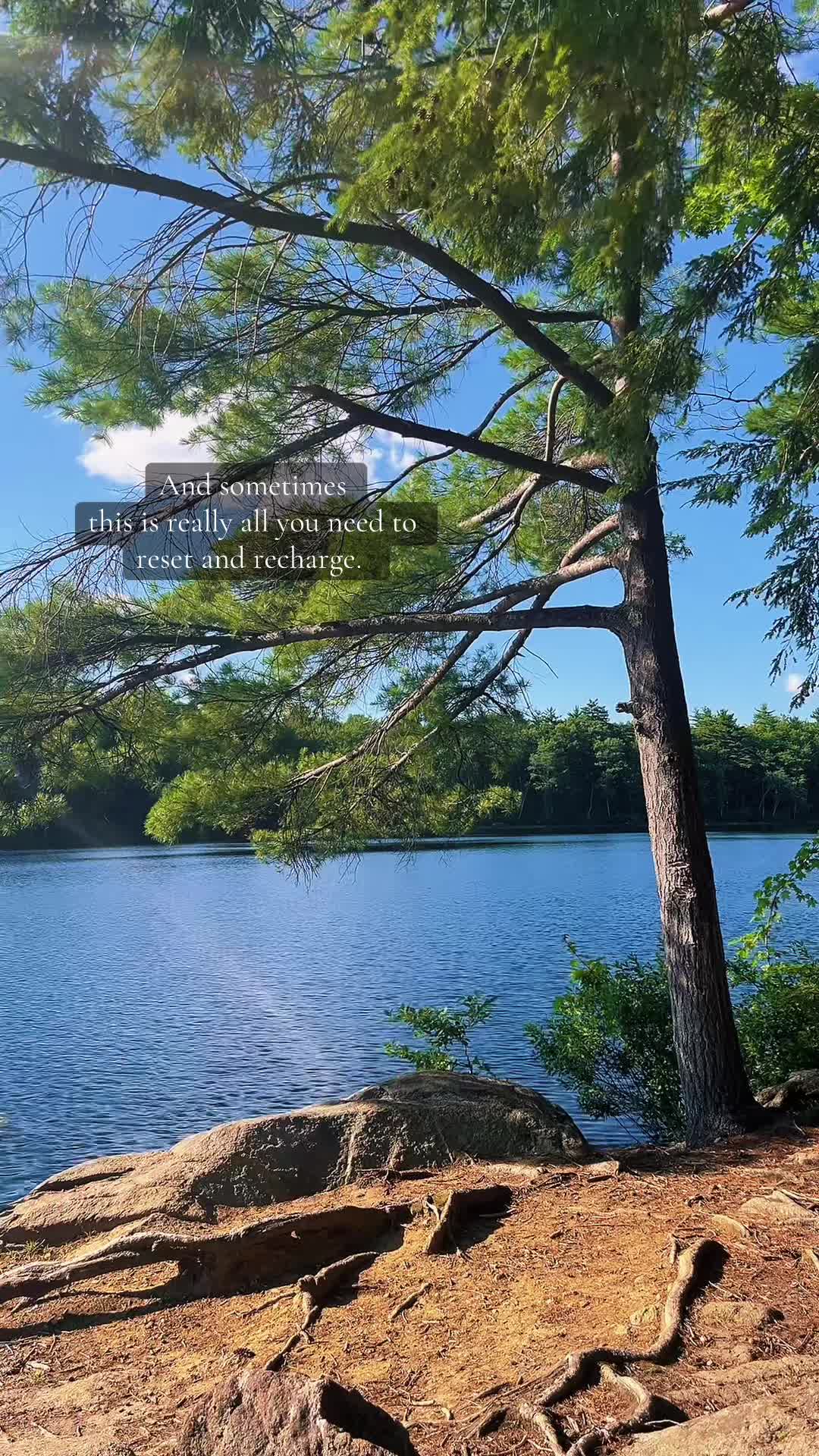 @waterandwoods
