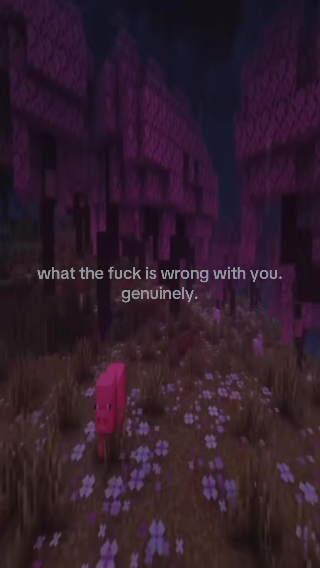 @repost