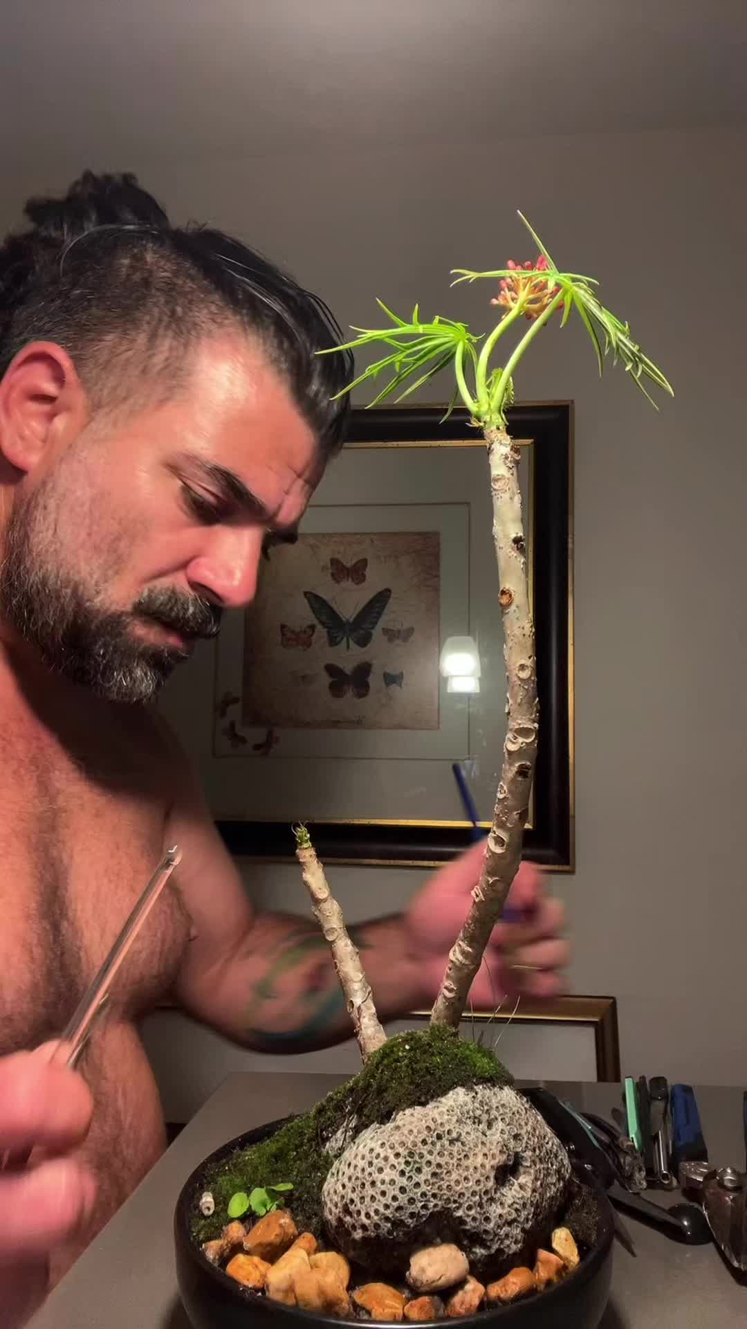@bearfluence