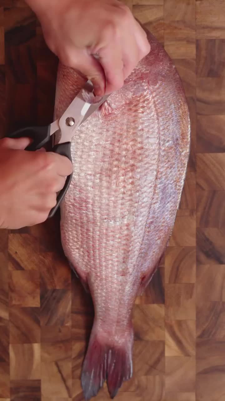 @KnifeArt