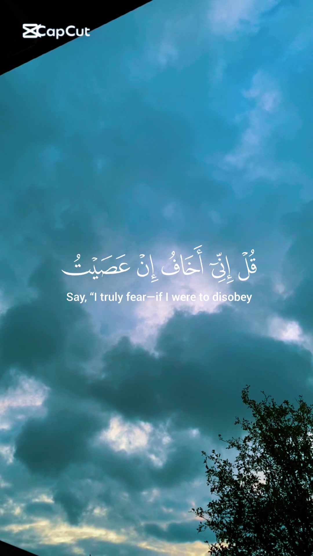 @LIFEOFSHAHIDA