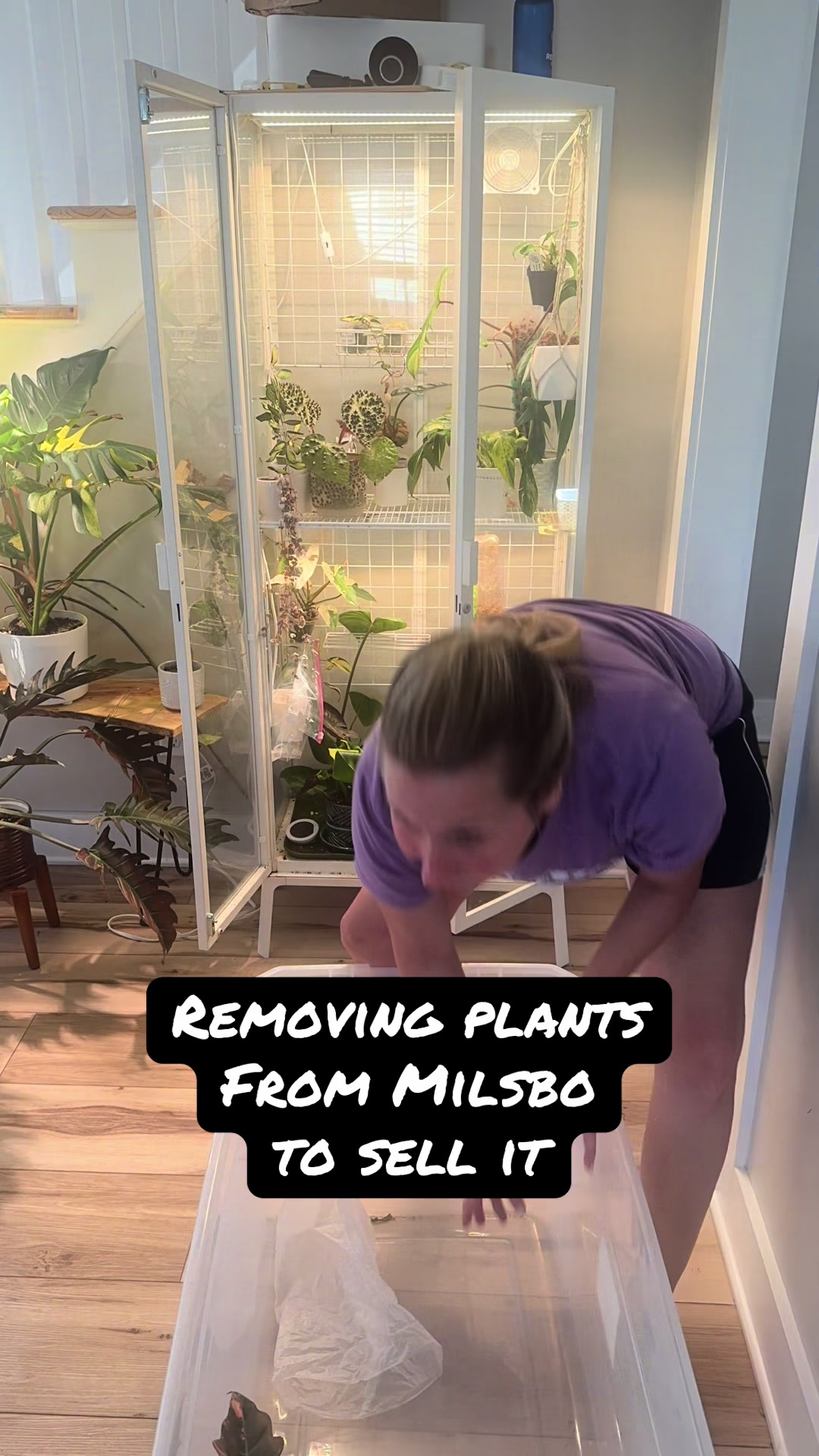 @ladylori_of_plants