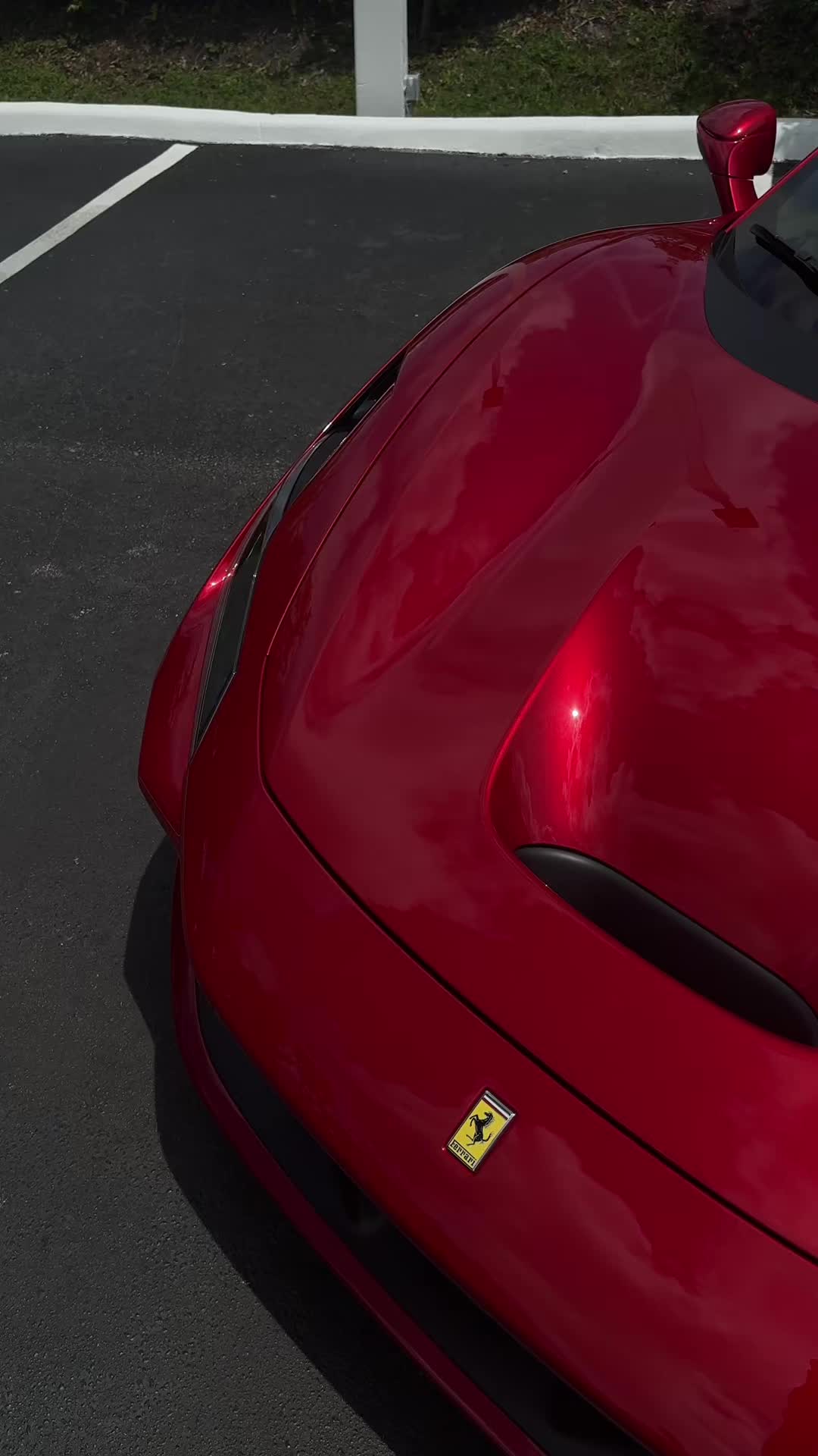 @flc_editz
