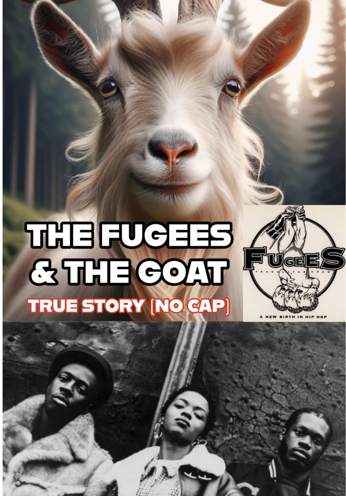 @Hard Hittin Harry