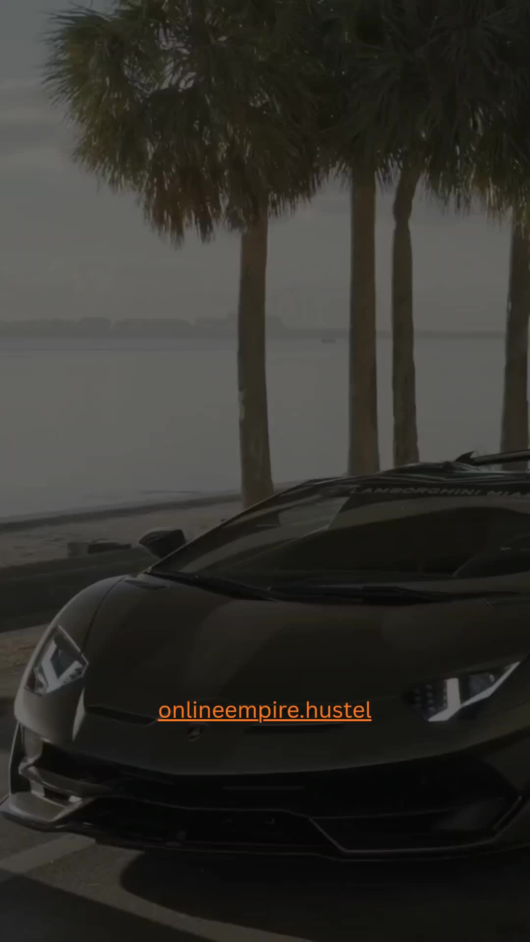@onlineempire.hustle