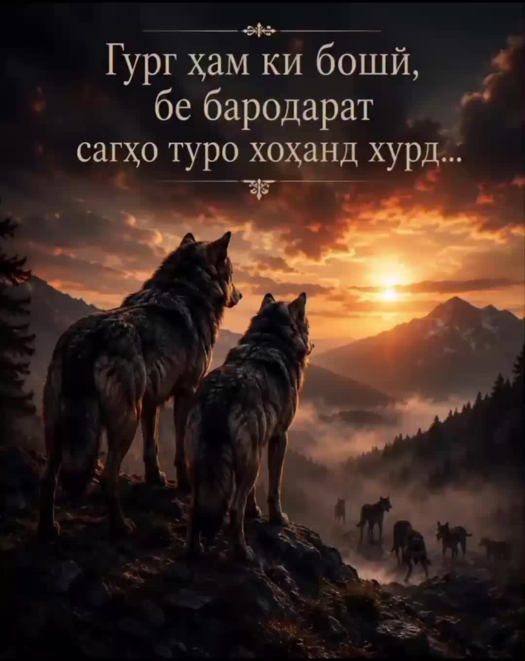 @Ҳотамҷон Рустамов