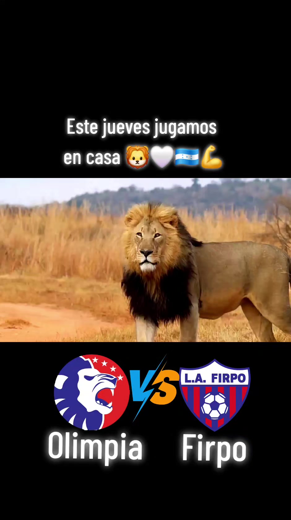 @Olimpista HN🦁🇭🇳