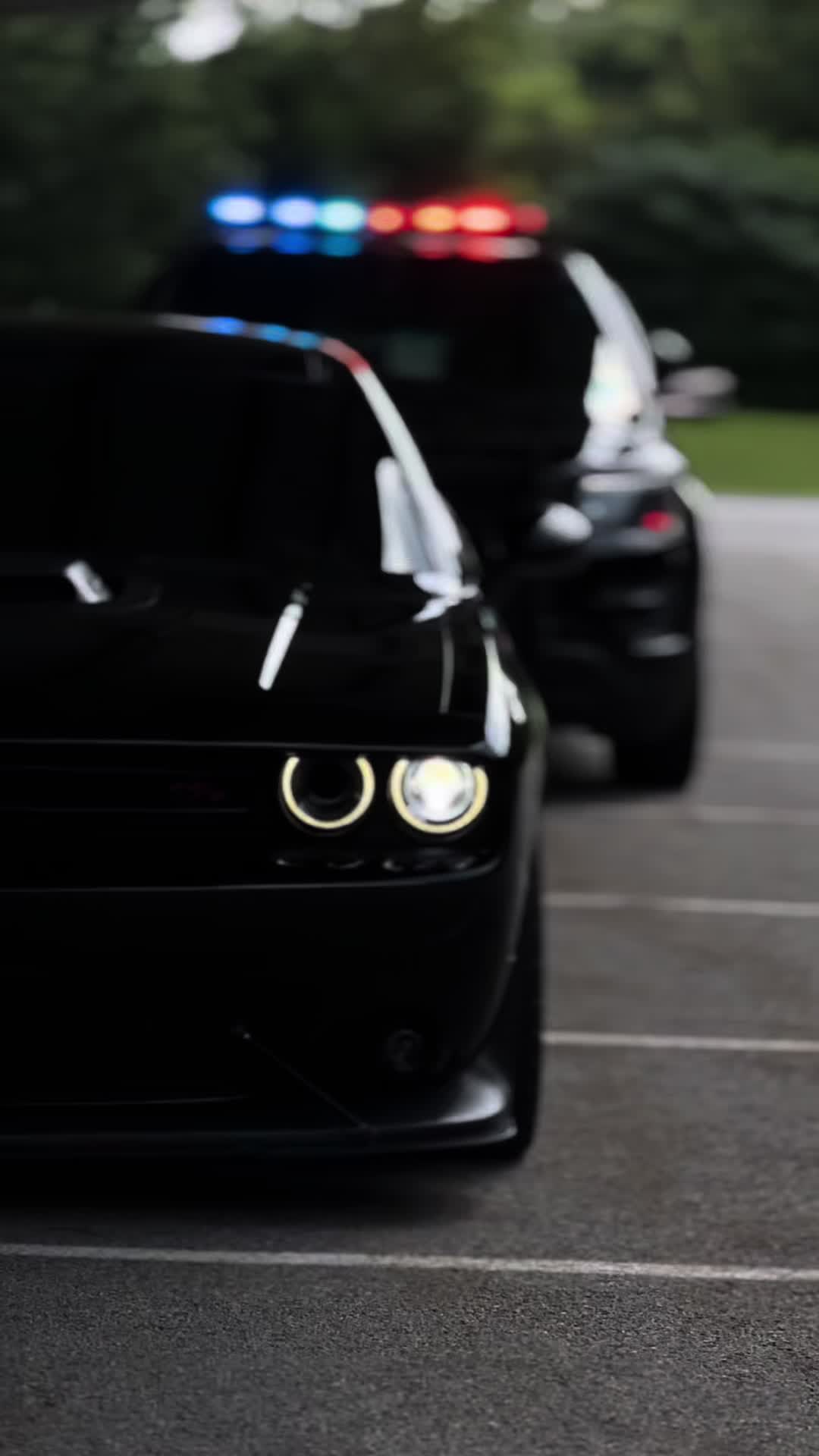 @Scatpack Bee 🐝