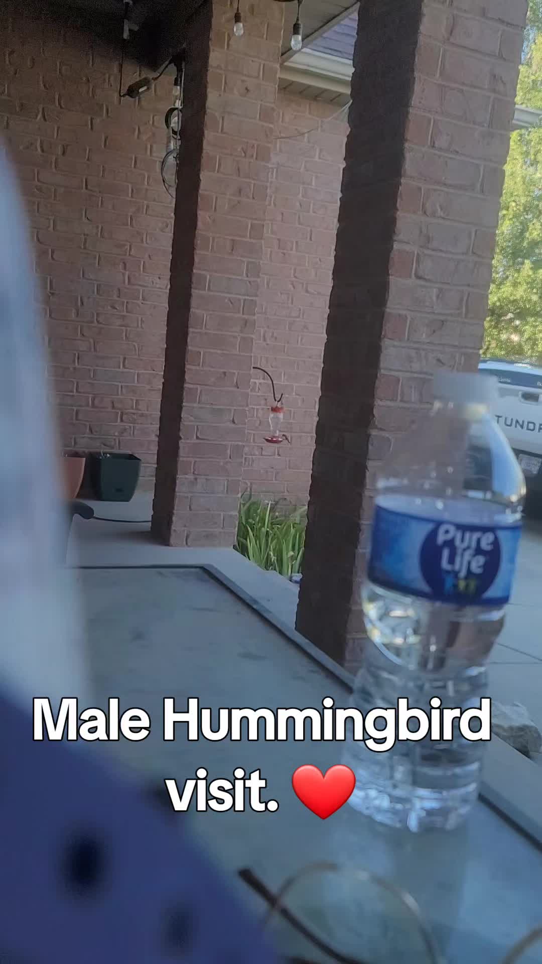 @GenXButterfly🦋
