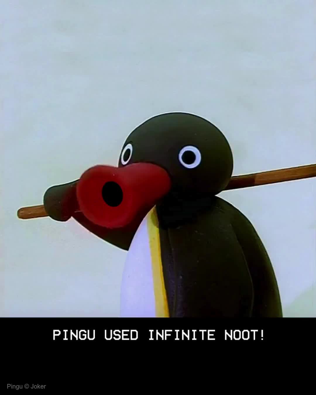 @Pingu