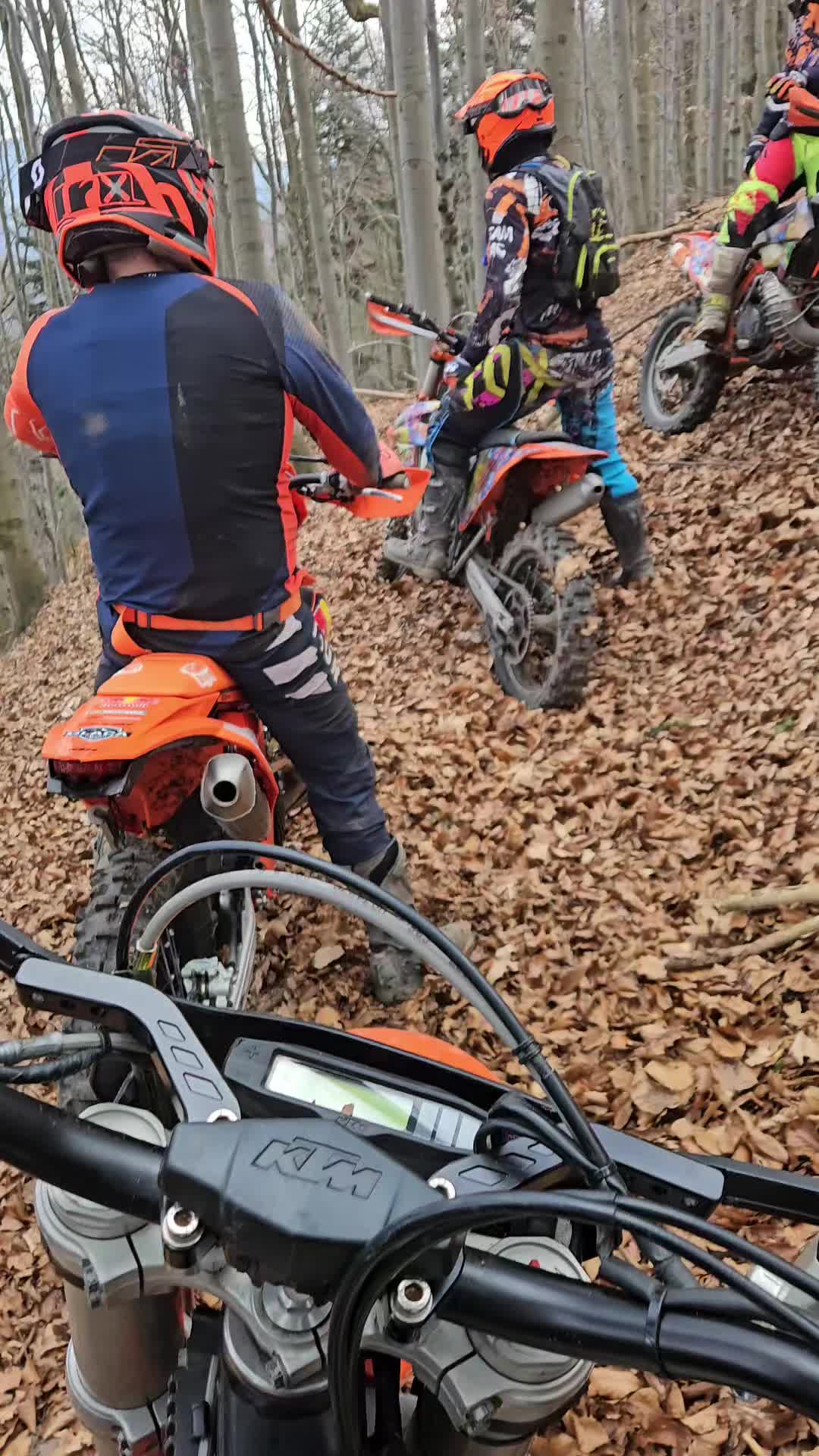 @Czarli_31