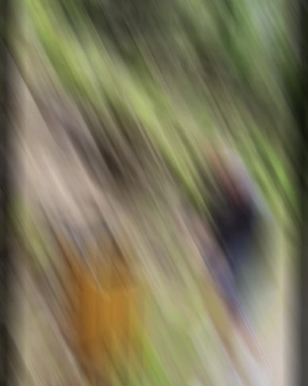 @Amaro x 93 Aventures