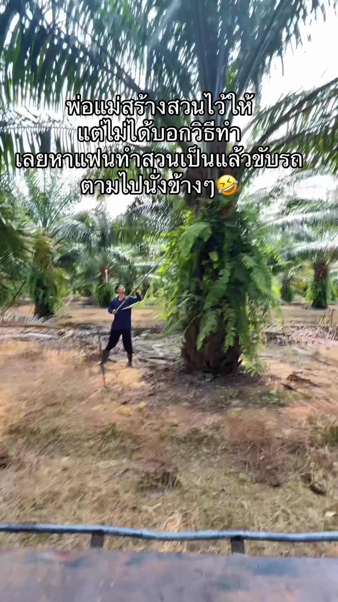 @แฟน วิรัญยา