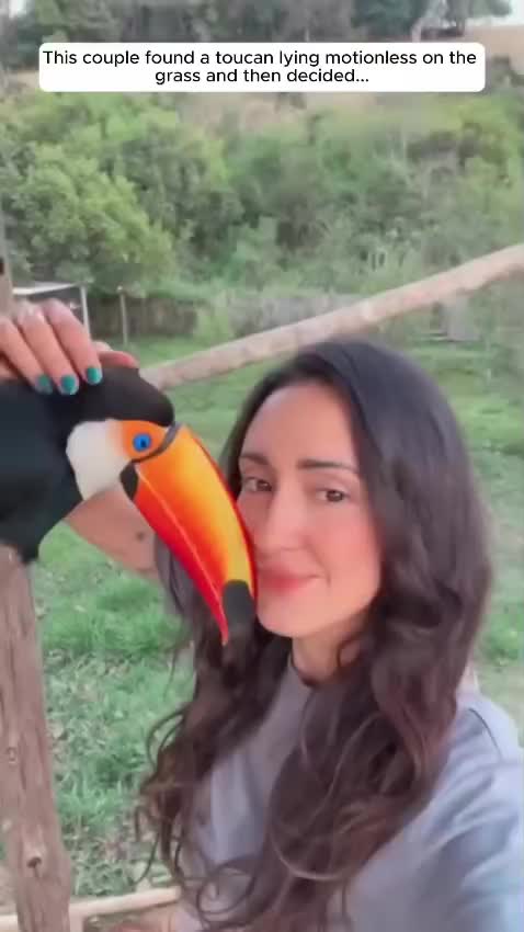 @animalsquad