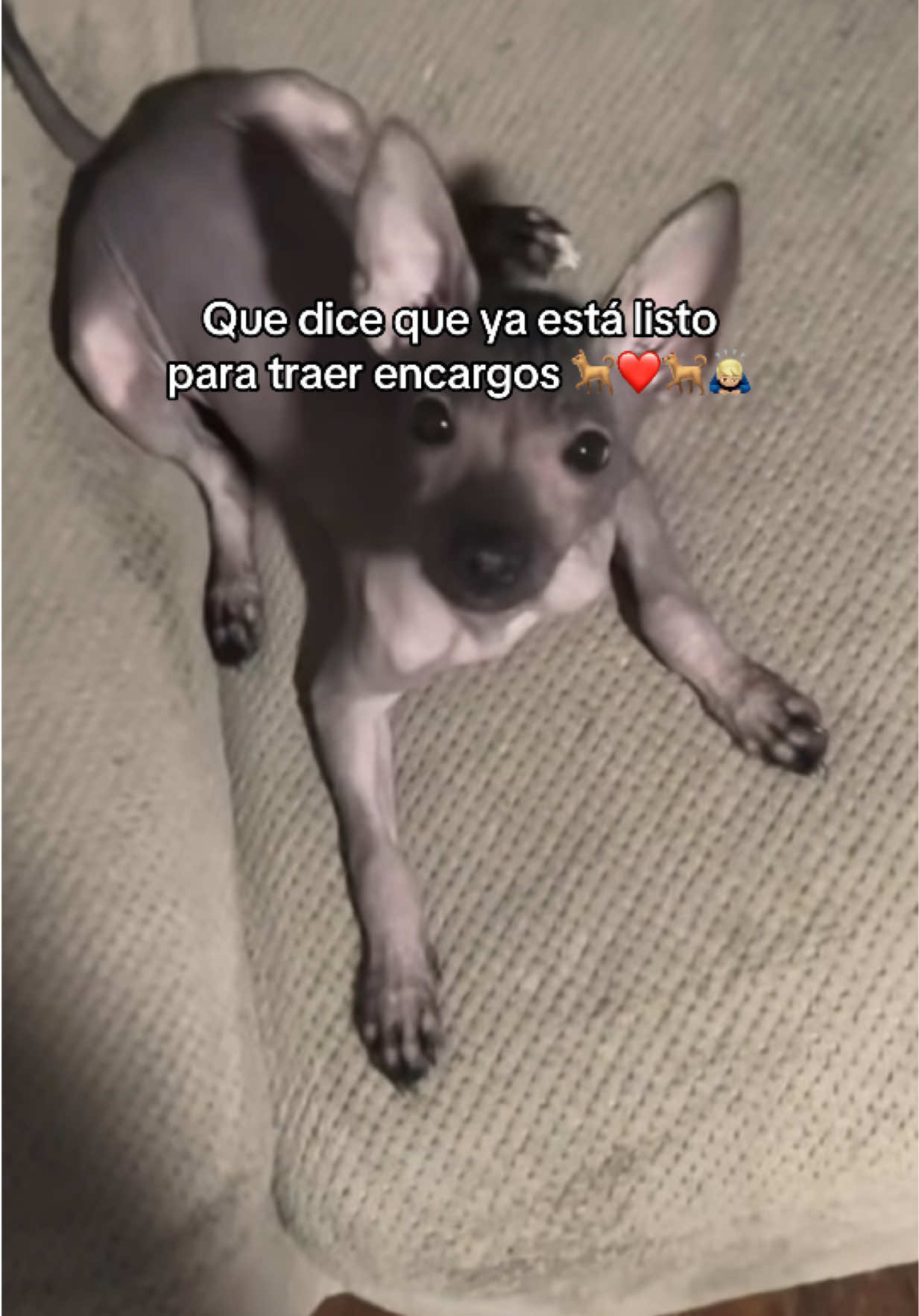 @Srj,Richar 💎