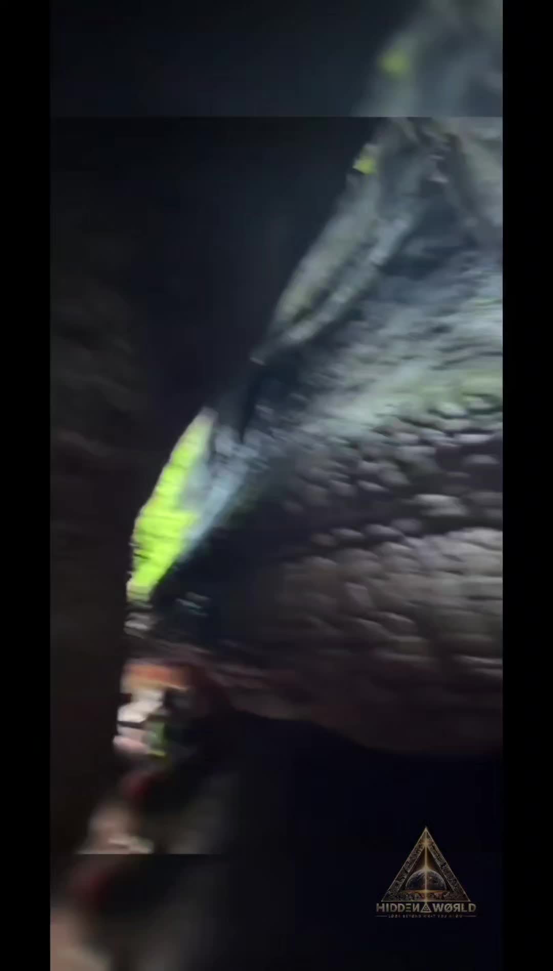 @HIDDΞИ ⟁ WØЯLD
