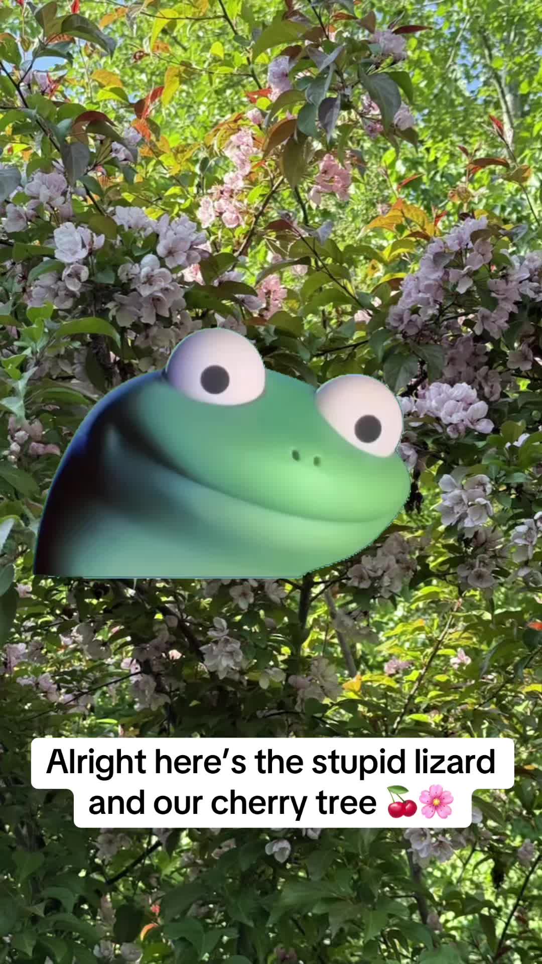 @B95-11