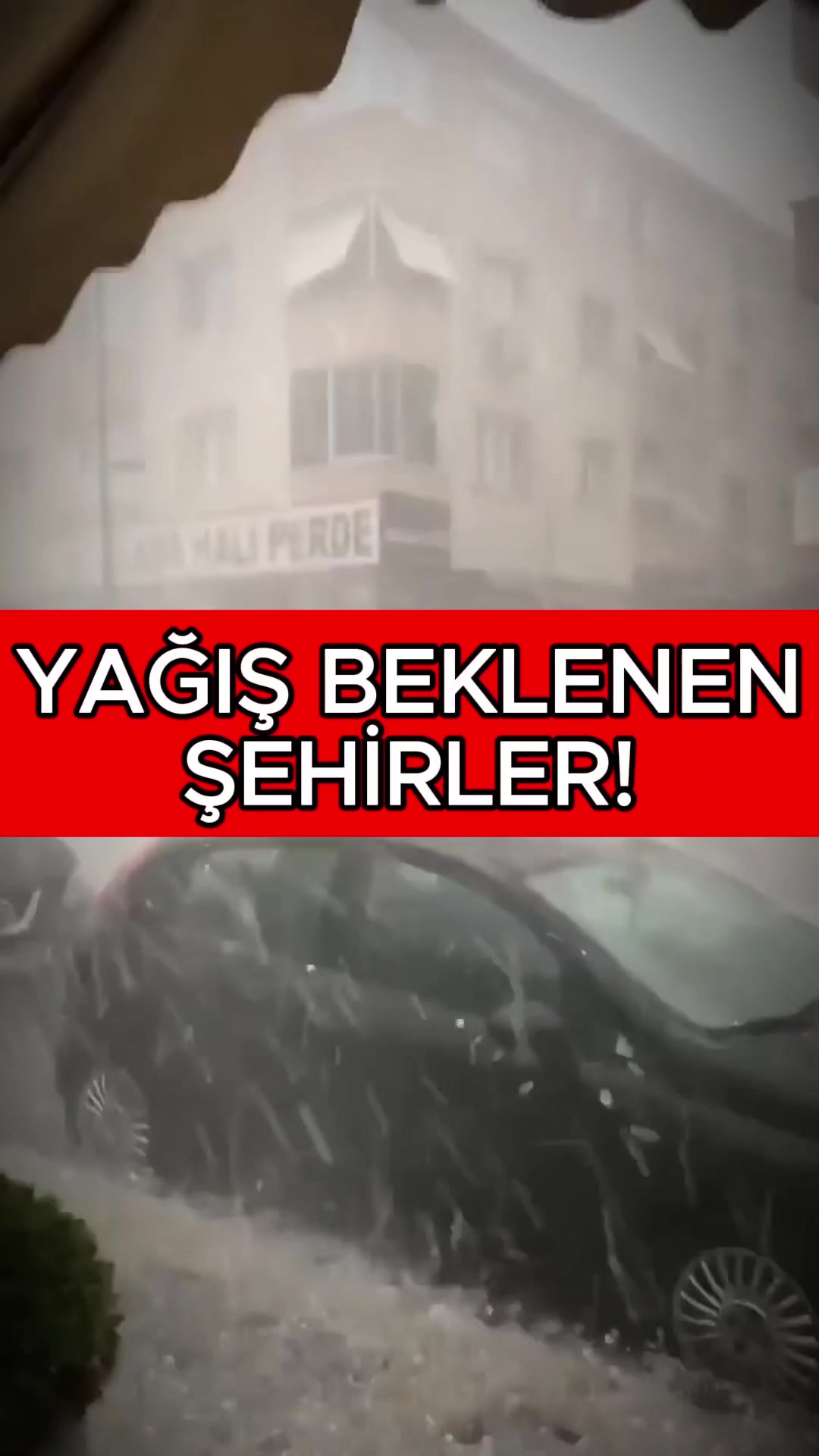@Havadar