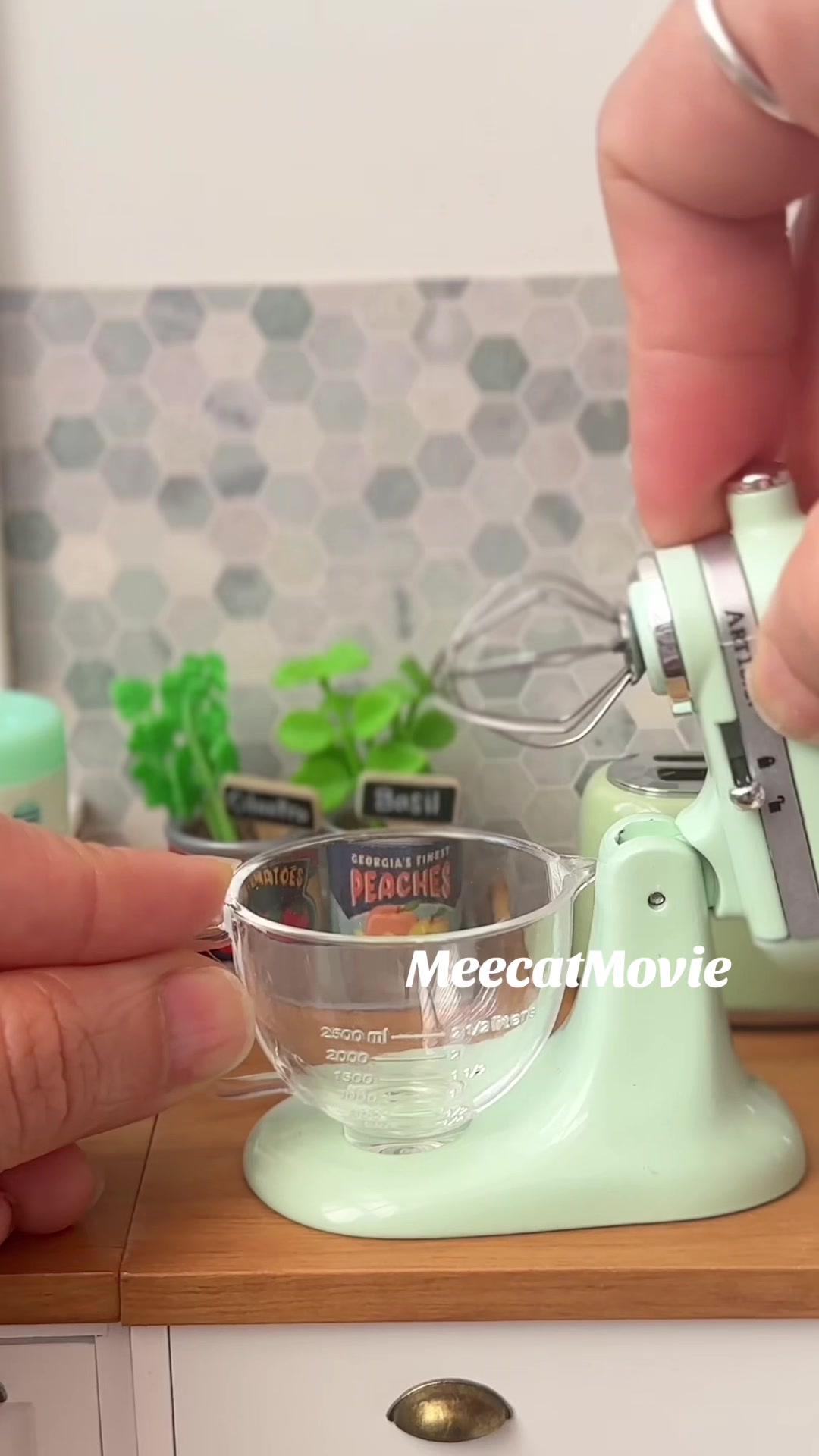 @Meecat