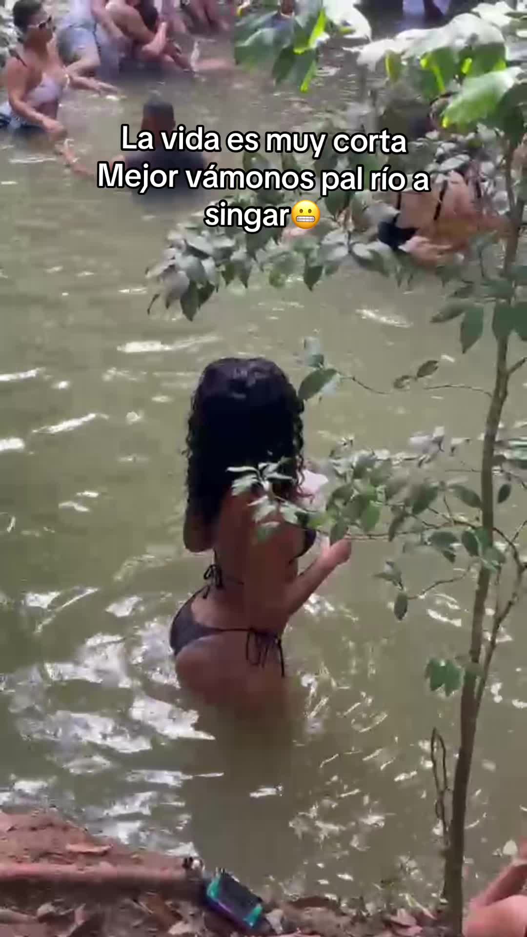 @🇩🇴SOL🦋