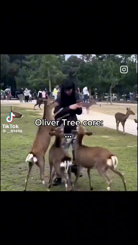 @Rainbowshit13🌺