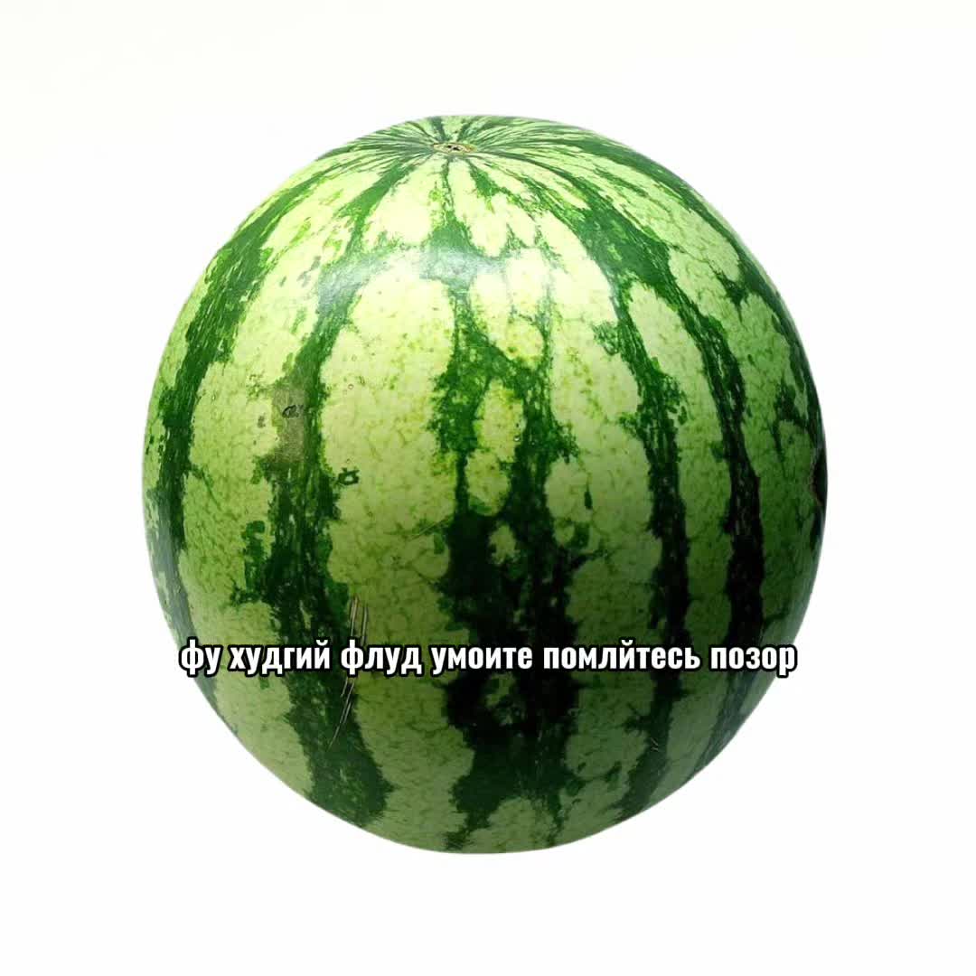 @мисье пол 🤤
