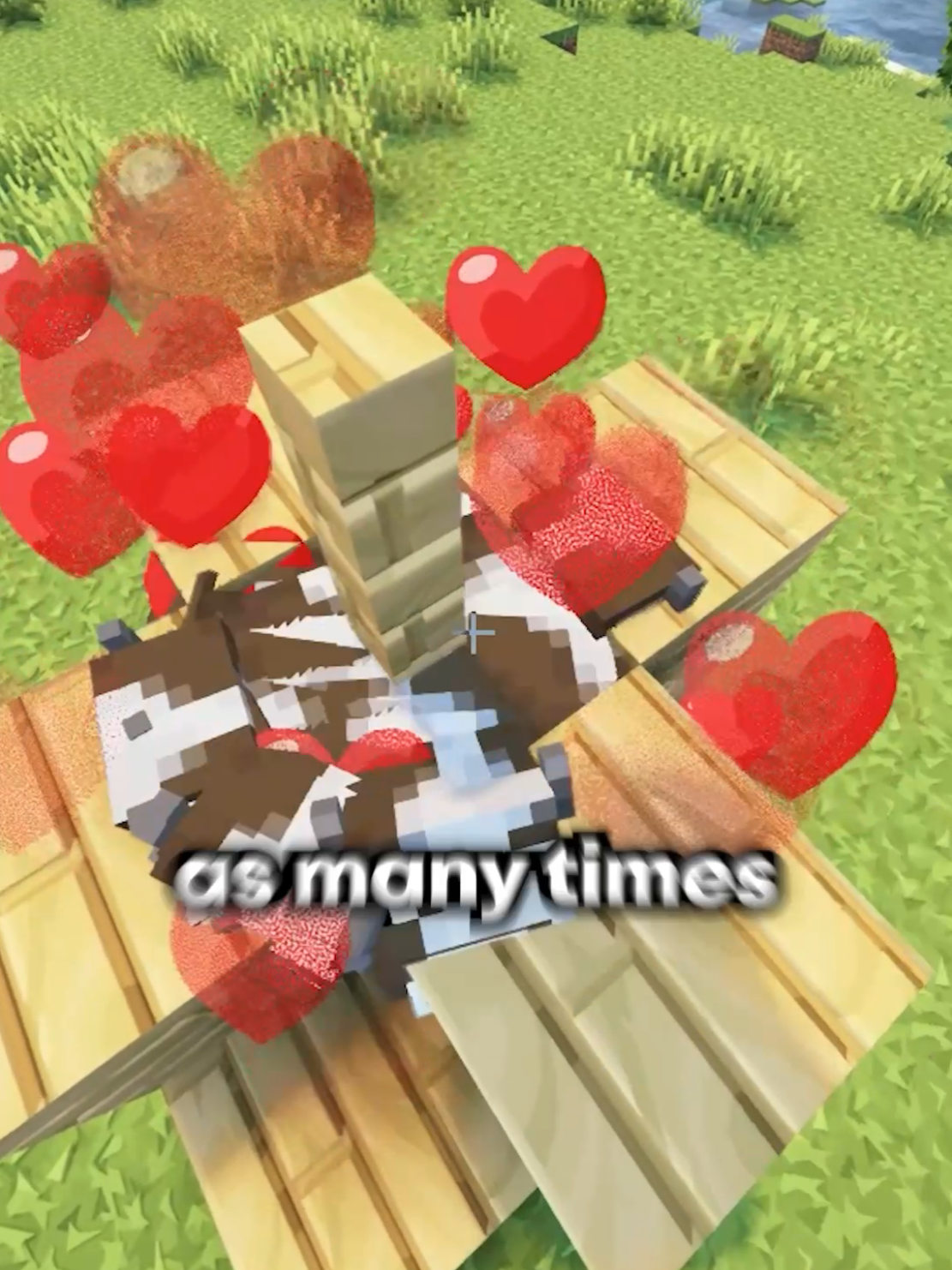 @maxxcrafter