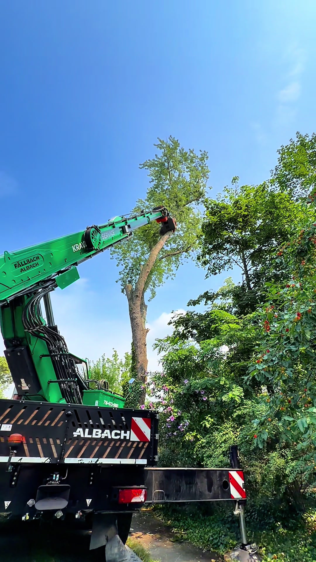 @kravitztreeservice